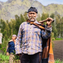 Ahmad Fauzi