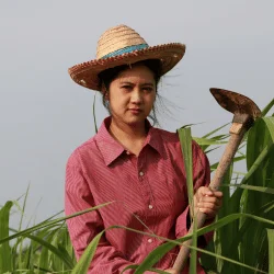 Rina Kartika